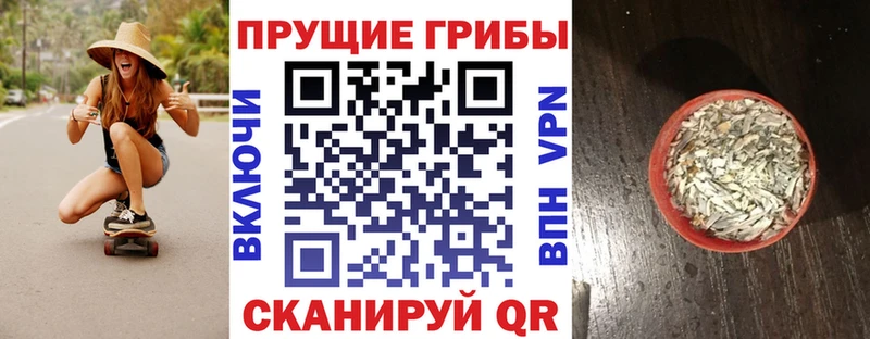 Купить закладки  Набережные Челны  Псилоцибиновые грибы Psilocybine cubensis 